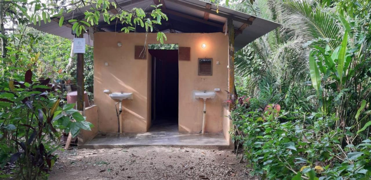 Hotel Centro Ecoturistico Ya'Ajche à Lacanjá Extérieur photo