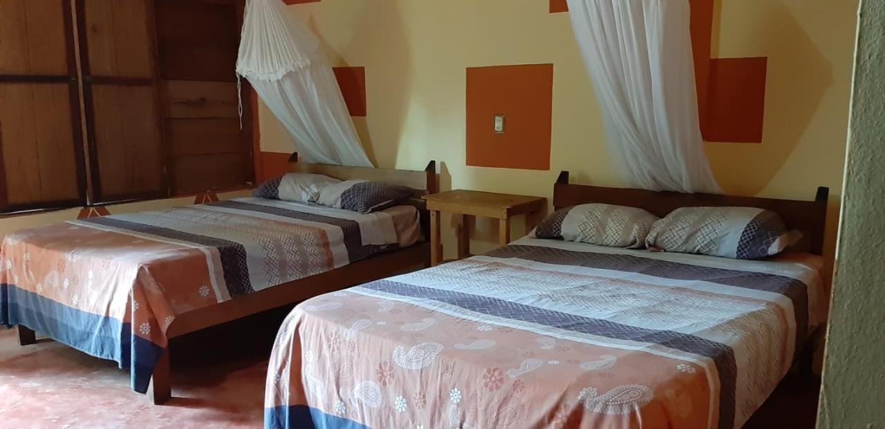 Hotel Centro Ecoturistico Ya'Ajche à Lacanjá Extérieur photo