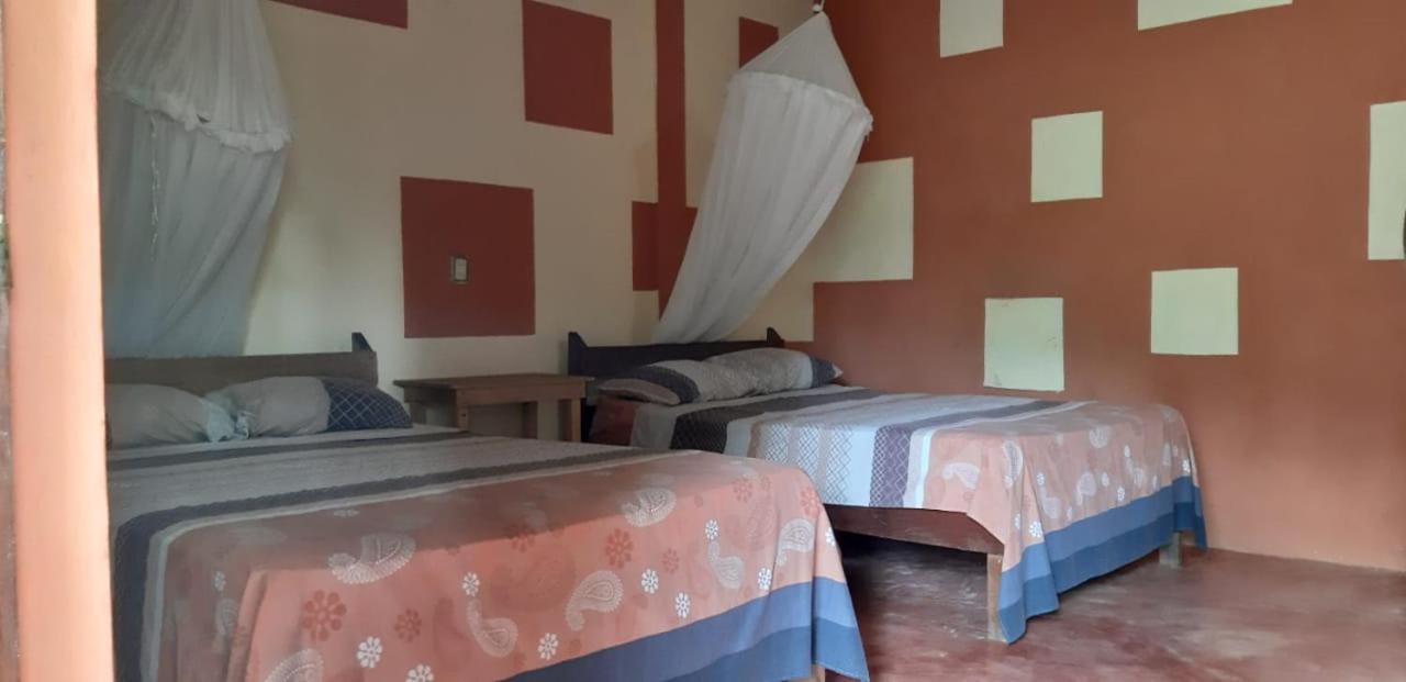 Hotel Centro Ecoturistico Ya'Ajche à Lacanjá Extérieur photo