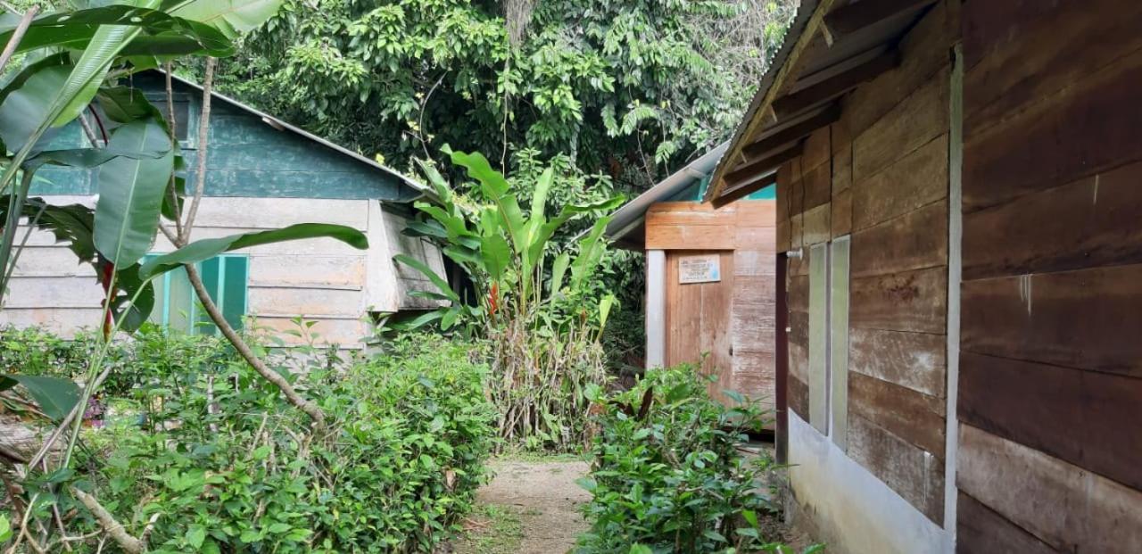 Hotel Centro Ecoturistico Ya'Ajche à Lacanjá Extérieur photo