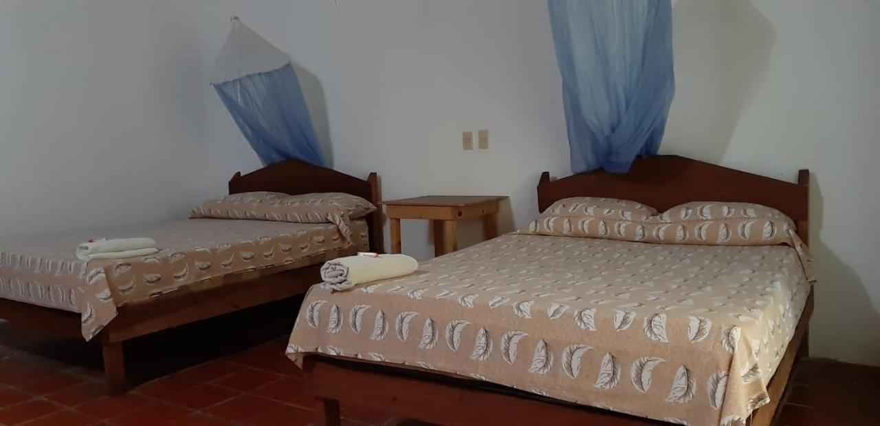 Hotel Centro Ecoturistico Ya'Ajche à Lacanjá Extérieur photo