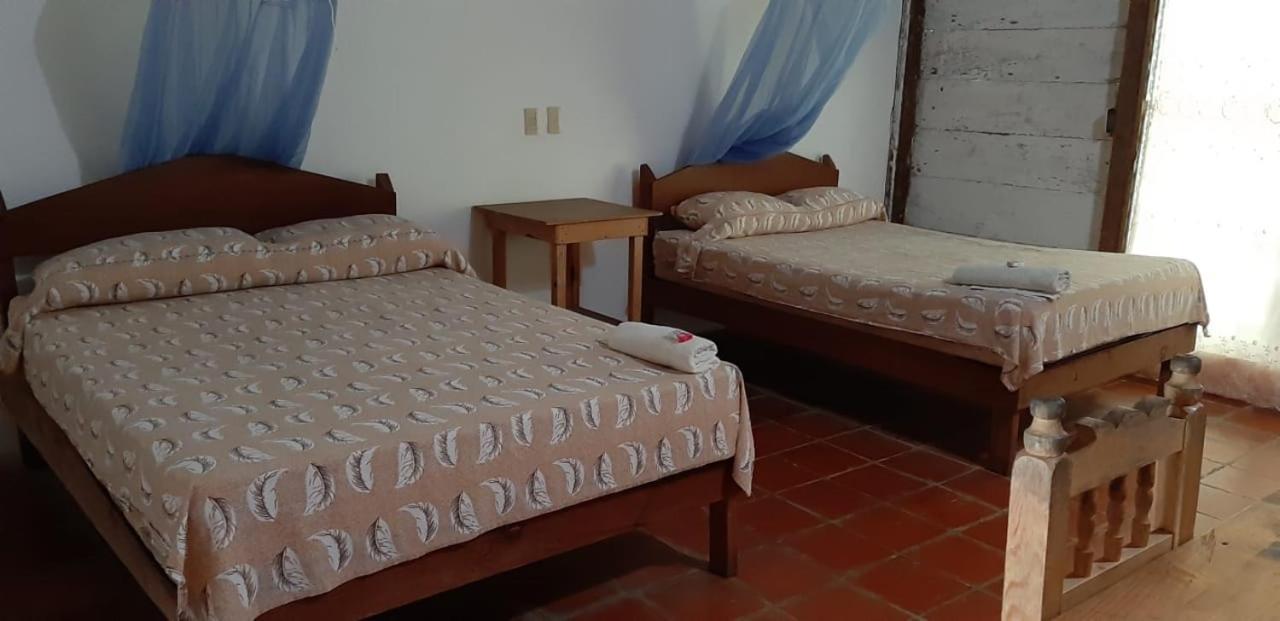 Hotel Centro Ecoturistico Ya'Ajche à Lacanjá Extérieur photo