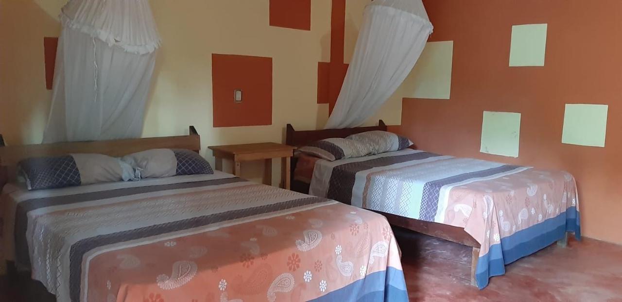 Hotel Centro Ecoturistico Ya'Ajche à Lacanjá Extérieur photo